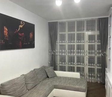 Ciurea Apartment | Lovely 1 bedroom apartment with parking