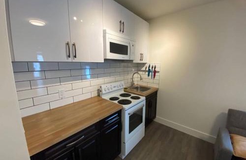 North Central Edmonton Apartment | Lovely 1 Bedroom Condo with Free Parking And Balcony