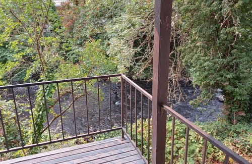 Central Area Condo | Lovely 1 Bedroom Creekside Condo Near Capital, Willamette and Hospital