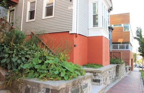 Valley Street Apartment | Lovely 1 bedroom rental in Portland