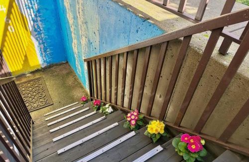 Edgemont House | Lovely 2br Bsmt Suite W Parking For Pickup