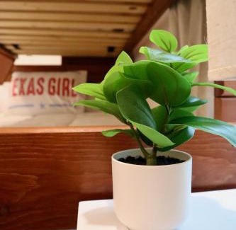 Manor House | Lovely 3BR with King Bed,15 Min from Downtown Austin