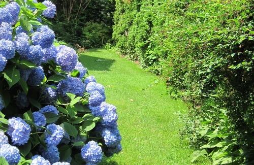 Southold House | Lovely 4 Bedroom Southold Home Walking Distance to Peconic Bay