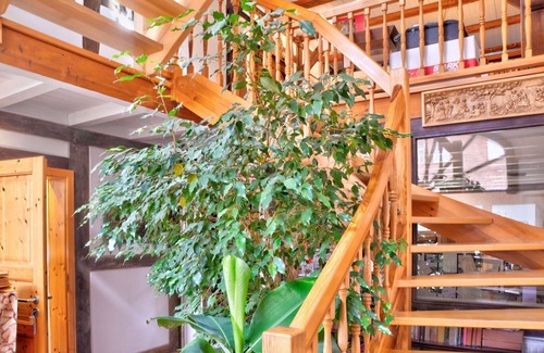 Schieder-Schwalenberg Apartment | Lovely apartment for 2 guests with WIFI and TV