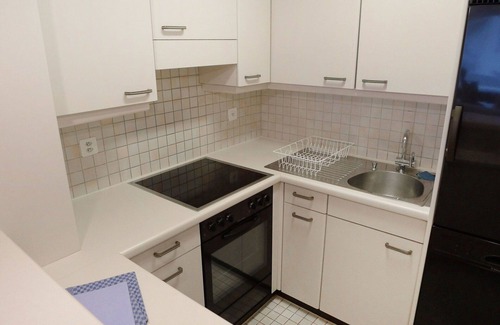 Lucerne Apartment | Lovely apartment for 3 guests with WIFI, TV, balcony and parking