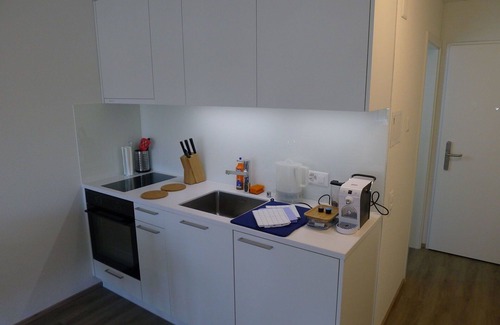 Lucerne Apartment | Lovely apartment for 4 people with WIFI, TV, balcony and parking