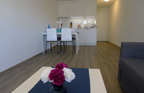 Lucerne Apartment | Lovely apartment for 4 people with WIFI, TV, balcony and parking