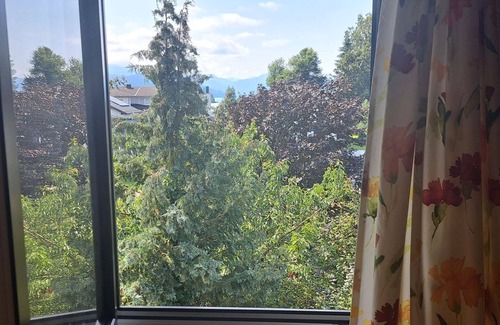 Seewalchen am Attersee Apartment | Lovely apartment for 4 guests with WIFI, TV, patio and panoramic view