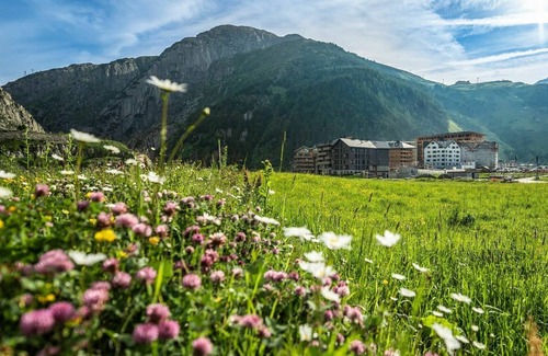 Andermatt Apartment | Lovely apartment for 2 guests with WIFI, TV and parking