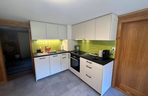 Frutigen Apartment | Lovely apartment for 5 guests with TV and balcony