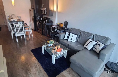 Griffintown Condo | Lovely apartment with city view