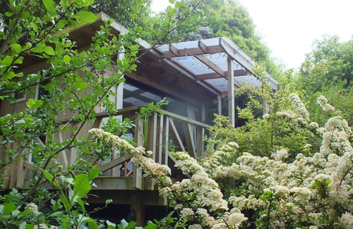 Dunedin Cabin | Lovely cabin in the trees, Sawyers Bay, Dunedin.