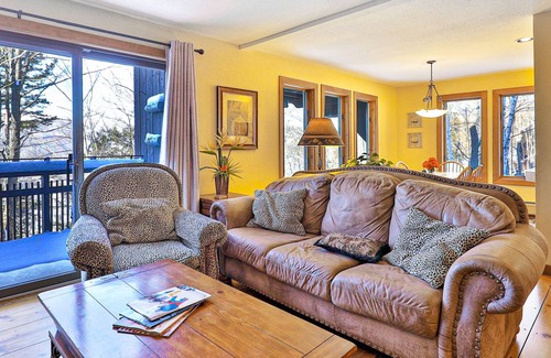 Plymouth Condo | Lovely Home w/Private Sauna, Tennis Court, & Hot Tub + Free WiFi, Wood Fireplace