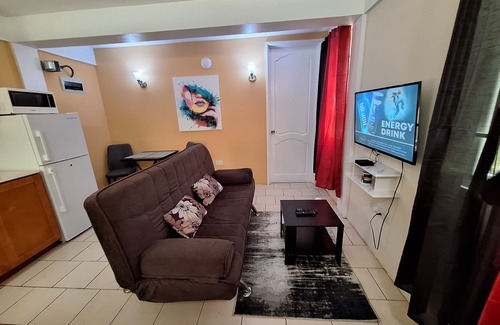 Newtown Apartment | Lovely pool side 1 bedroom Apartment just 2 mins from Roseau