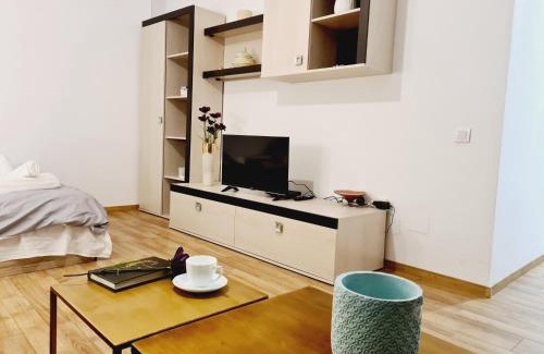 Cluj-Napoca Apartment | Lovely ultracentral apartment with parking
