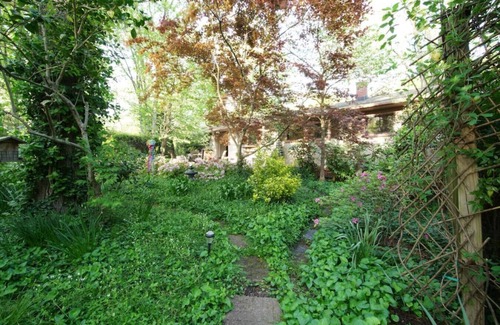 Chapel Hill House | Lovely Writer's Retreat and Garden Sanctuary