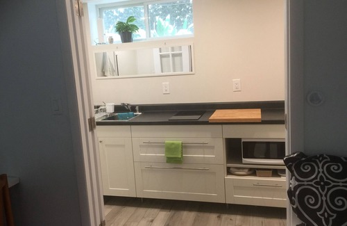 Angell Apartment | Lower level apartment accessed by patio door. Walk to, Downtown, Pet friendly.