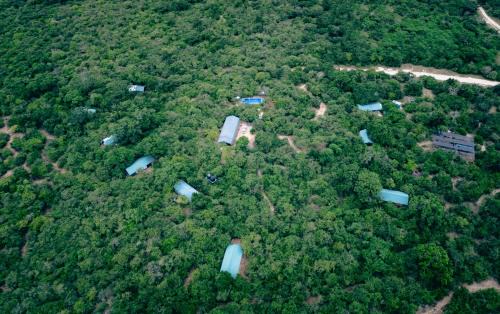 Palatupana Hotel | Lowin Yala