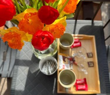Monte Compatri House | Luce Guest House