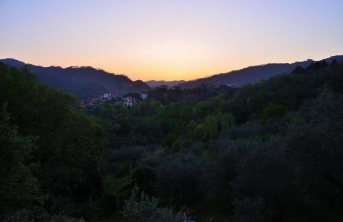 Serralta House | Luce Stellata