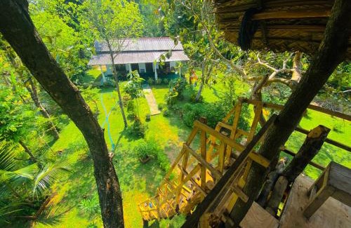Sigiriya House | Lucky Villa Sigiriya
