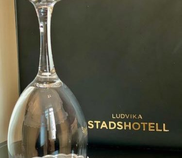Hogberget-Centrum Hotel | Ludvika Stadshotell
