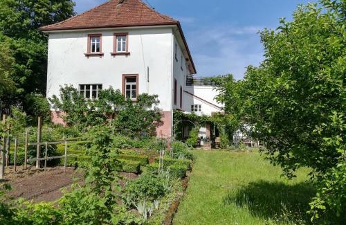 Lemberg Apartment | Ludwig im Künstlerhaus