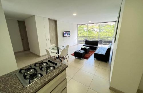 Cartago Apartment | Lujoso apartamento centro isleta