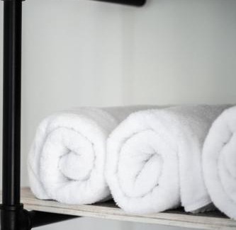 Almont Apartment | Lumberjill Lodge Room 1