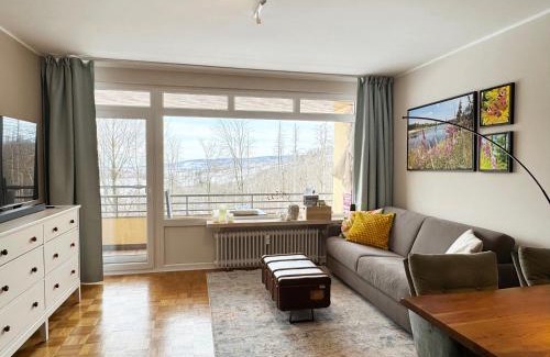Sankt Andreasberg Apartment | Luna