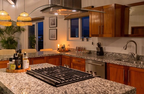 Emiliano Zapata Condo | Luxe Punta Mita Penthouse-Surf & Sea!