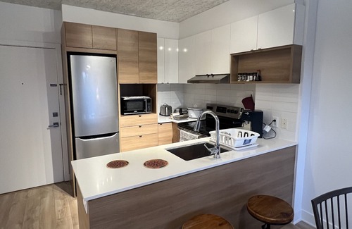 Griffintown Apartment | Luxueux condo in Downtown