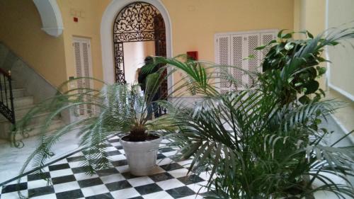 Museo Apartment | Luxurious 2 bedroom flat in a historic building