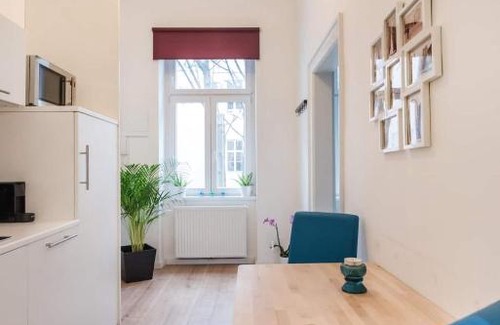 Roßau Apartment | ⍟Luxurious and Bright⍟ 5 min walk to city center (15)