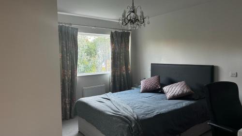 Streatham Hill House | Luxurious Central London N-Suite with Garden Views