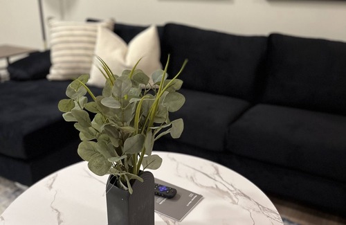 Southwest Edmonton House | Luxurious,Cozy and Brand new House