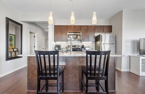 Rolling Mill Hill Condo | Luxurious Downtown Corner 2 bd 2bth-#220