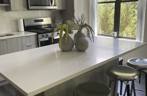 Chamblee Condo | Luxury 2 Bedroom - 10 minutes from Buckhead