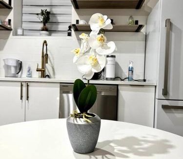 Wanskuck Apartment | Luxury and cozy 1 Bed Condo in the heart of Providence