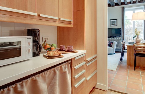 Saint-Merri Apartment | Luxury and Spacious 2 bed 2 bath in Marais