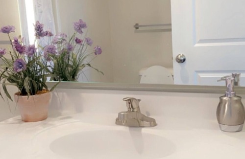 Conestee Apartment | Luxury apartment 10 mins from downtown free groceries