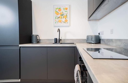 Waterloo Apartment | Luxury Apartment | 2BR | Central | Sleeps 5