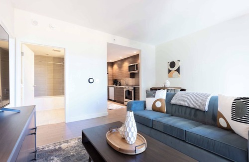 Back Bay Apartment | Luxury Apartment Back Bay