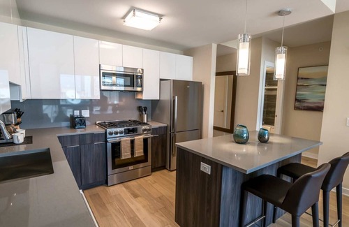 Downtown Apartment | Luxury Apartment Downtown Stamford