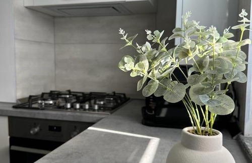 Suceava Apartment | Luxury Apartments and Studios Boulevard G Enescu Suceava