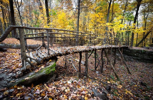 Nashport Cabin | Luxury, brand new, secluded log Cabin incredible private forest view, trails.