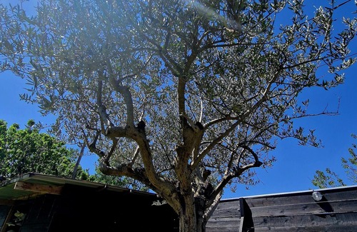 Courthezon Other | Luxury Family Farmhouse in Provence Near Avignon