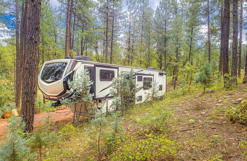 Christopher Creek Other | Luxury Glamper Retreat 14 Forest Site
