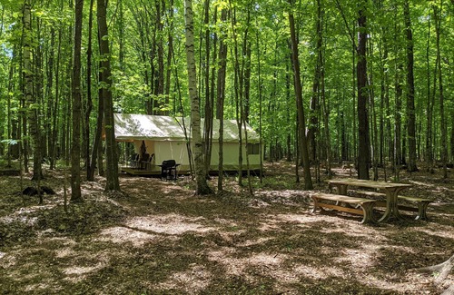 Phelps Apartment | Luxury Glamping w/Resort Access Included, Site 10