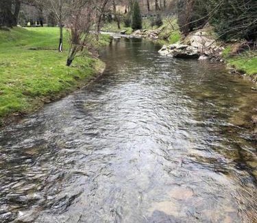 Sugar Grove House | LUXURY! Hot Tub, Pool Table, River & Petting zoo?